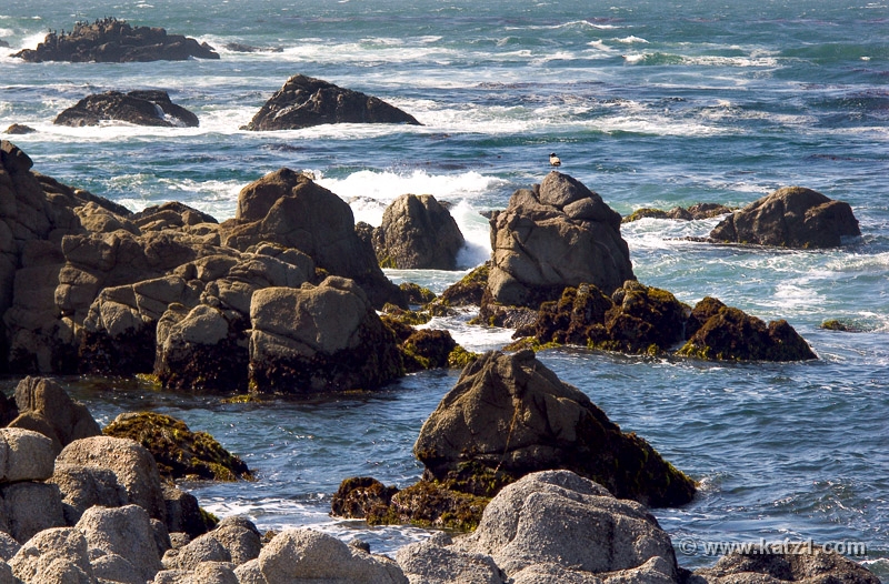 Monterey 4